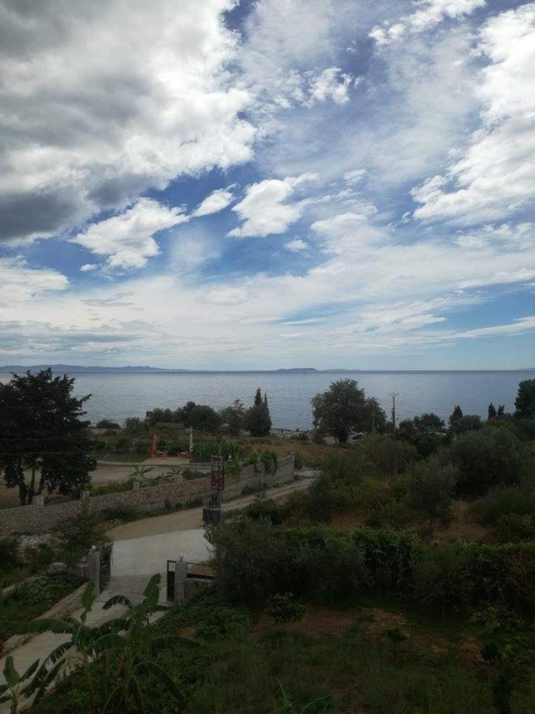 Hotel Afrodite Dhermi Exterior photo